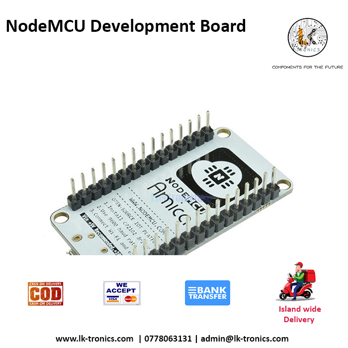 NodeMCU Development Board