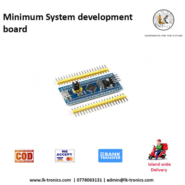 bUY Minimum System development board
